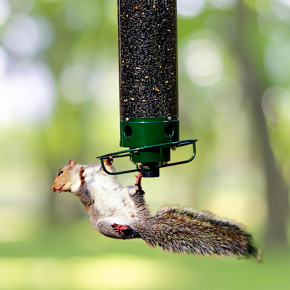 Squirrel-Proof Metal Bird Feeder – Hanging 4-Port Feeder