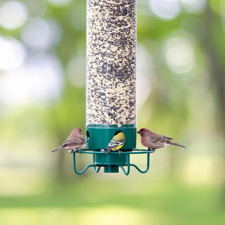 Squirrel-Proof Metal Bird Feeder – Hanging 4-Port Feeder