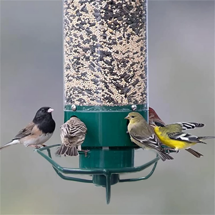 Squirrel-Proof Metal Bird Feeder – Hanging 4-Port Feeder