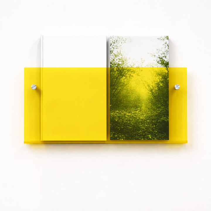 Acrylic Floating Wall Shelf – Magazine & Storage Organizer