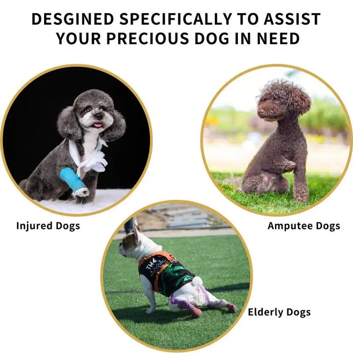 Dog Lift Harness – Full Body Support Adjustable Senior & Injured Pets