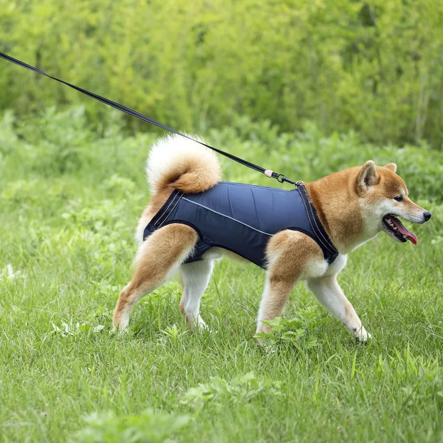 Dog Lift Harness – Full Body Support Adjustable Senior & Injured Pets