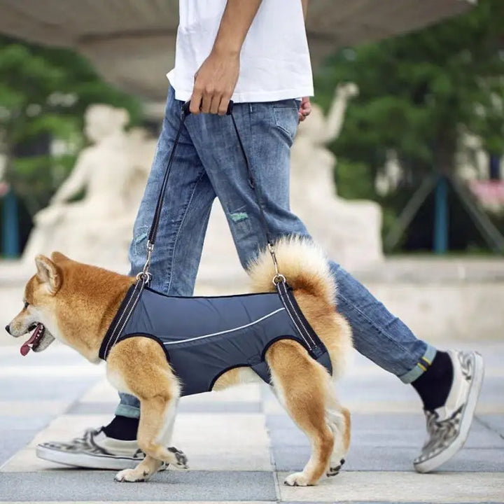 Dog Lift Harness – Full Body Support Adjustable Senior & Injured Pets