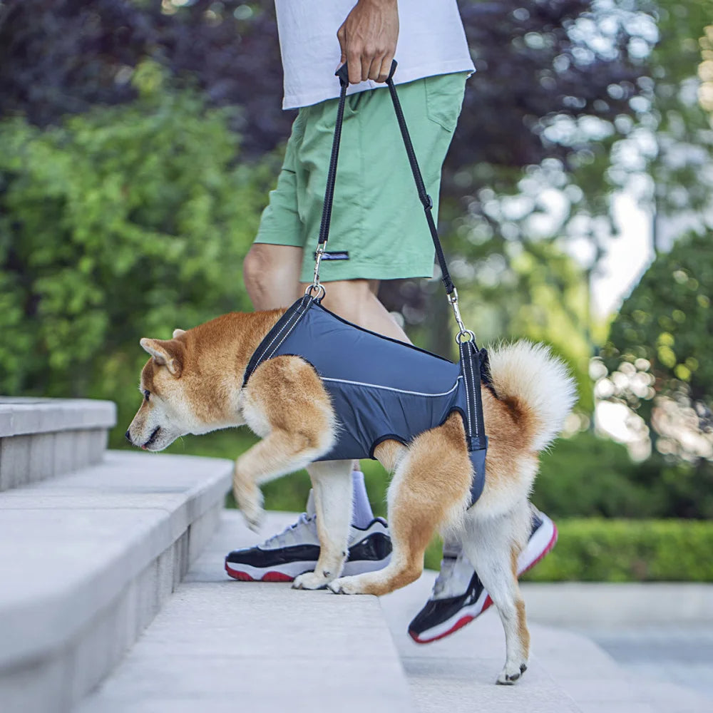 Dog Lift Harness – Full Body Support Adjustable Senior & Injured Pets