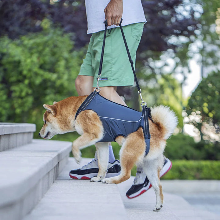Dog Lift Harness – Full Body Support Adjustable Senior & Injured Pets