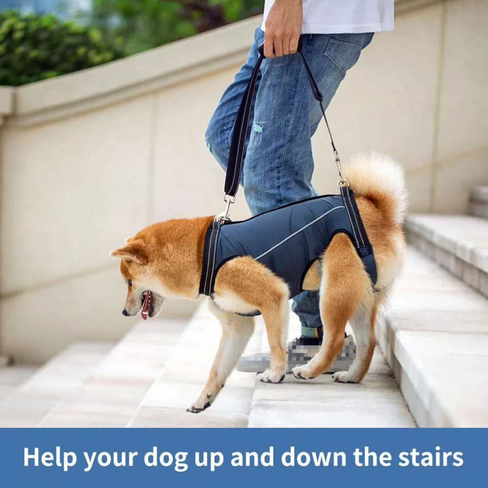 Dog Lift Harness – Full Body Support Adjustable Senior & Injured Pets