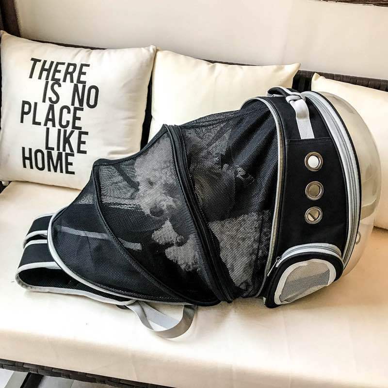 Foldable Pet Carrier Backpack – Ventilated Clear View Cats & Small Dogs