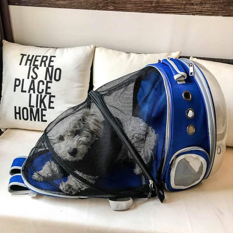 Foldable Pet Carrier Backpack – Ventilated Clear View Cats & Small Dogs