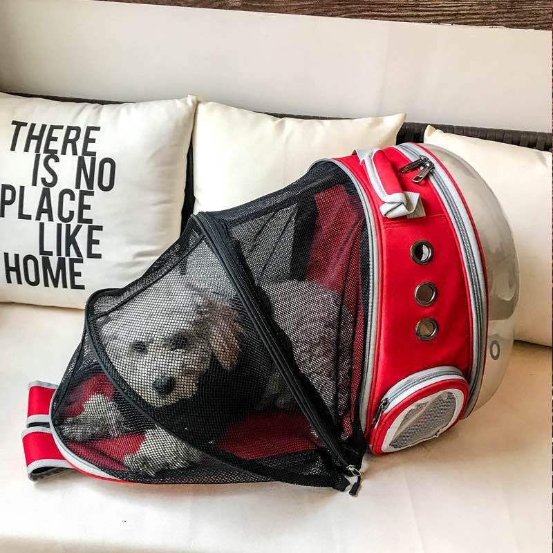 Foldable Pet Carrier Backpack – Ventilated Clear View Cats & Small Dogs