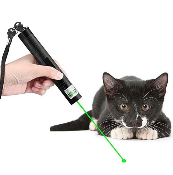 Portable Laser Pointer – High-Intensity Presentations Outdoors & Long Range