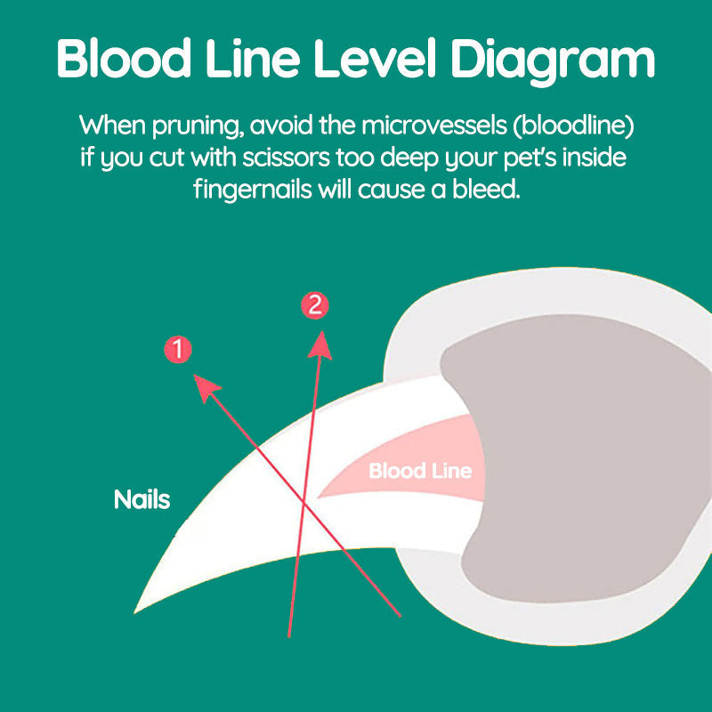 Pet Nail Clipper – LED Light Guided Stainless Steel Blade