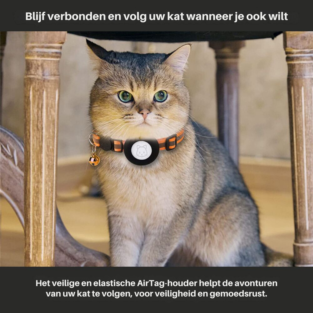 Cat GPS Tracker Collar – Reflective Waterproof Real-Time Location & Lightweight