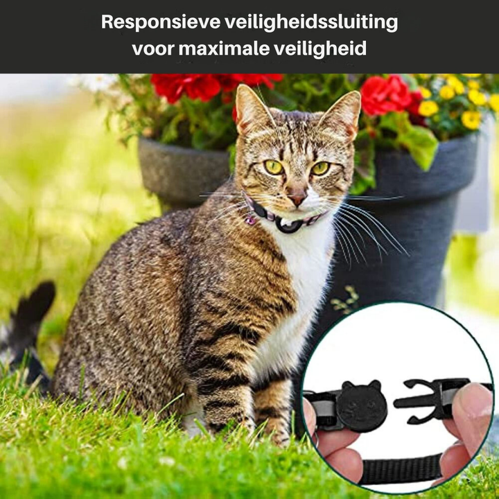 Cat GPS Tracker Collar – Reflective Waterproof Real-Time Location & Lightweight