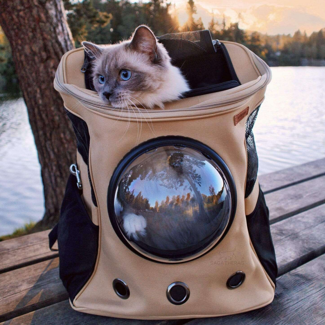 Cat Travel Backpack – Large Bubble Ventilation Spacious & Waterproof