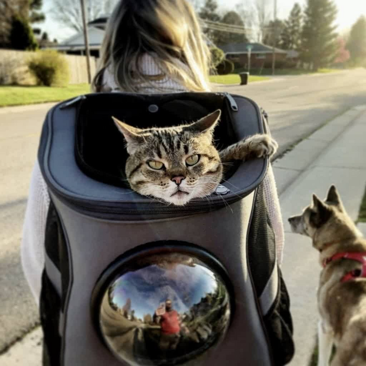 Cat Travel Backpack – Large Bubble Ventilation Spacious & Waterproof