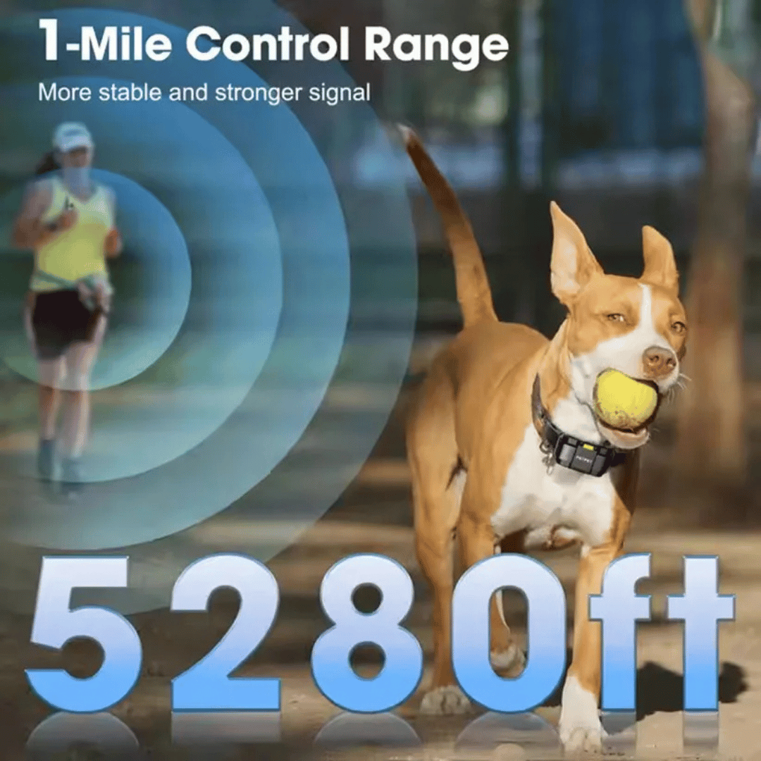 Dog Training Collar – 1 Mile Remote Range Large Dogs & Shock Vibration