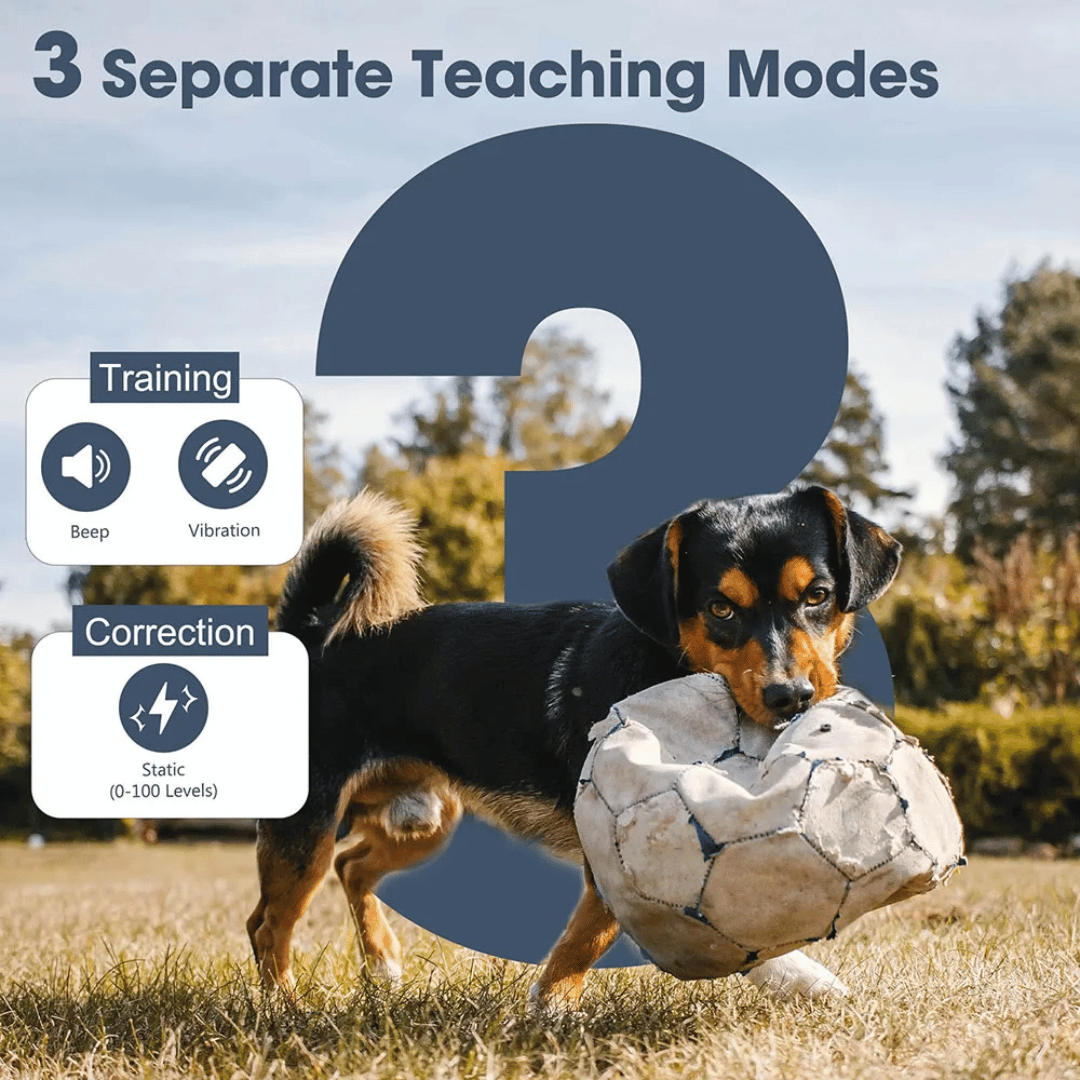 Dog Training Collar – 1 Mile Remote Range Large Dogs & Shock Vibration