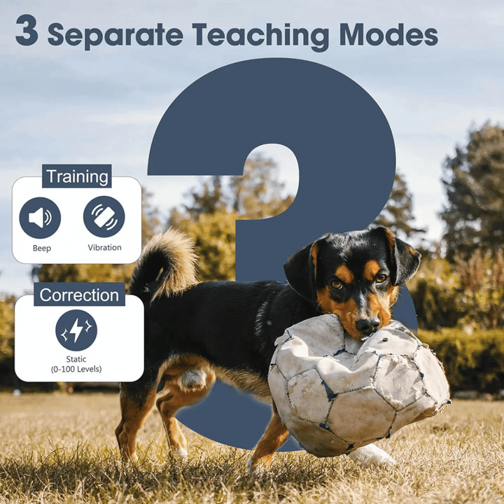 Dog Training Collar – 1 Mile Remote Range Large Dogs & Shock Vibration