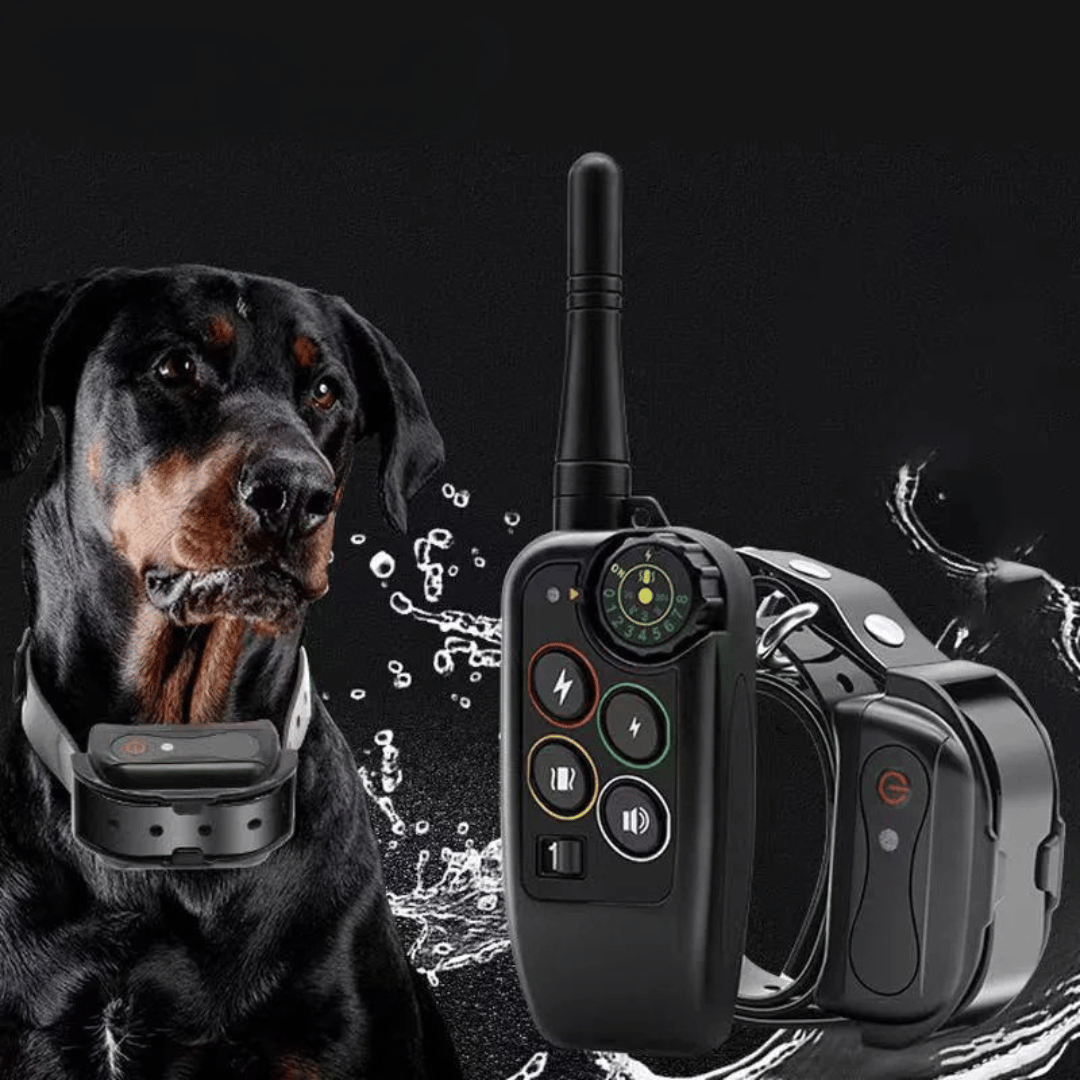 Dog Training E-Collar – 1000m Range Waterproof 3-Mode Remote
