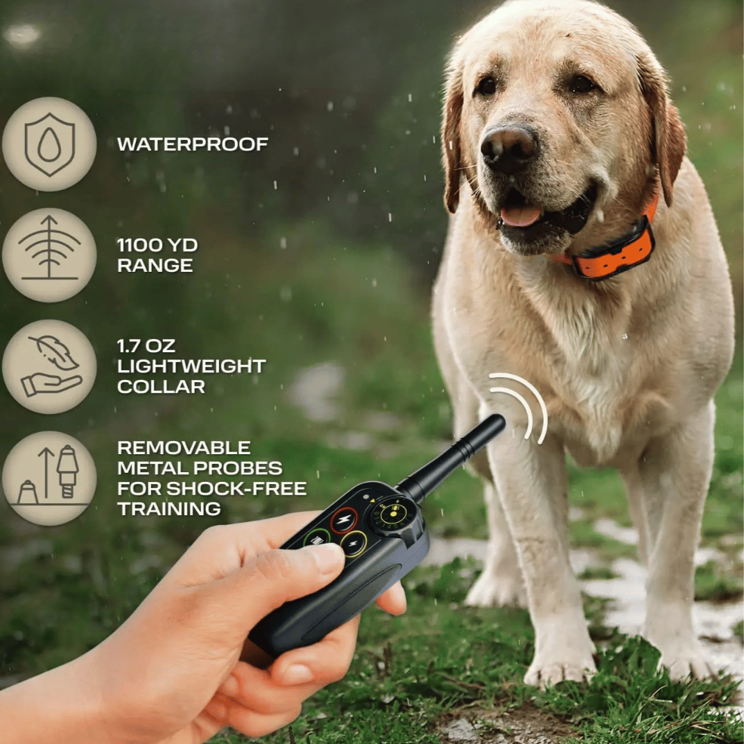 Dog Training E-Collar – 1000m Range Waterproof 3-Mode Remote