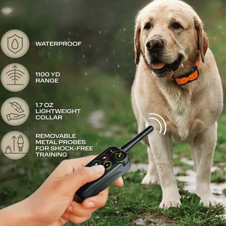 Dog Training E-Collar – 1000m Range Waterproof 3-Mode Remote