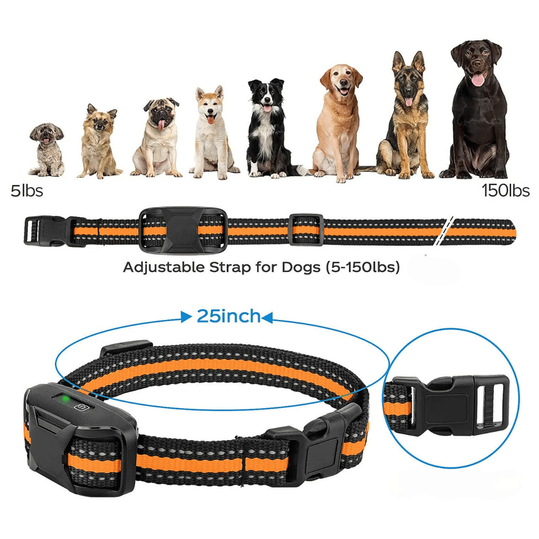 Dog E-Collar – Waterproof Rechargeable Remote Training