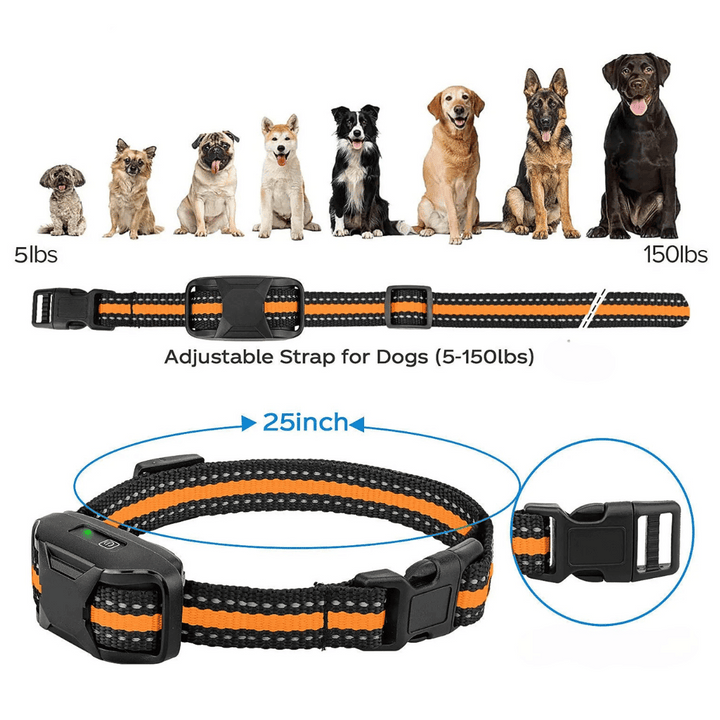 Dog E-Collar – Waterproof Rechargeable Remote Training