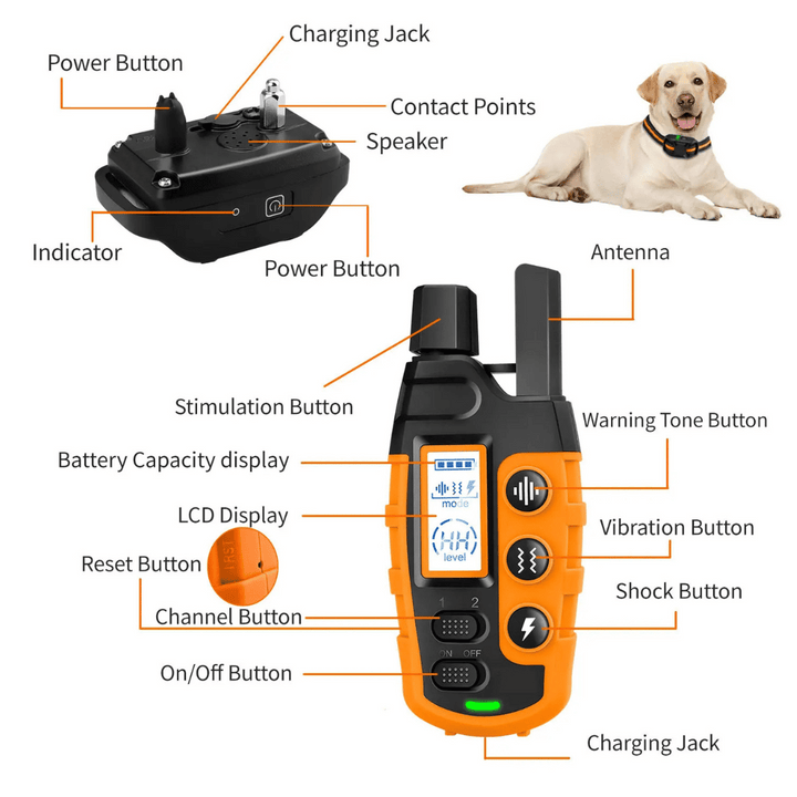 Dog E-Collar – Waterproof Rechargeable Remote Training