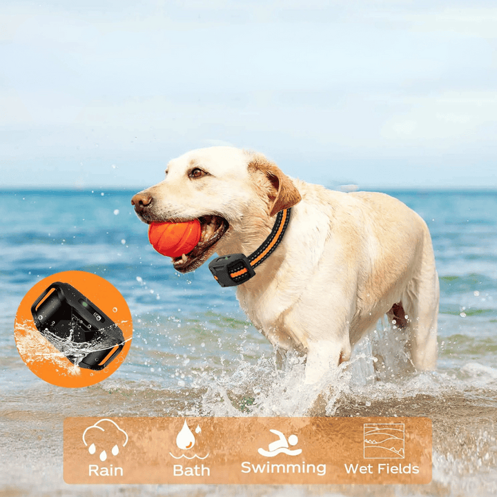 Dog E-Collar – Waterproof Rechargeable Remote Training
