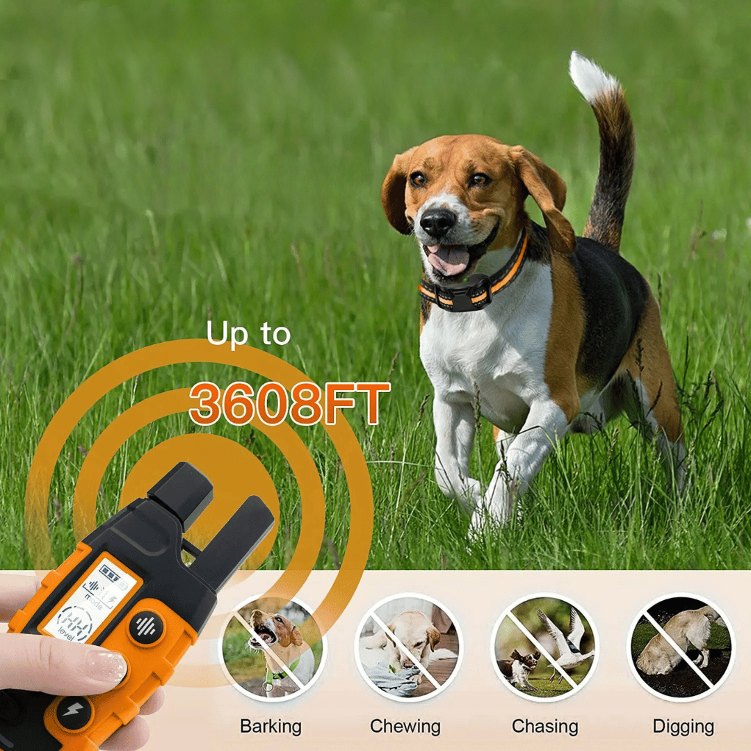 Dog E-Collar – Waterproof Rechargeable Remote Training