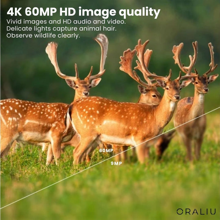 Wildlife Trail Camera – 4K Ultra HD 60MP App Control IP66